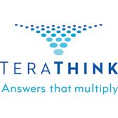 TeraThink EM