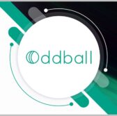 Oddball Wins Contracts to Improve Veterans Access to Government Websites - top government contractors - best government contracting event