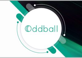 Oddball Wins Contracts to Improve Veterans Access to Government Websites - top government contractors - best government contracting event